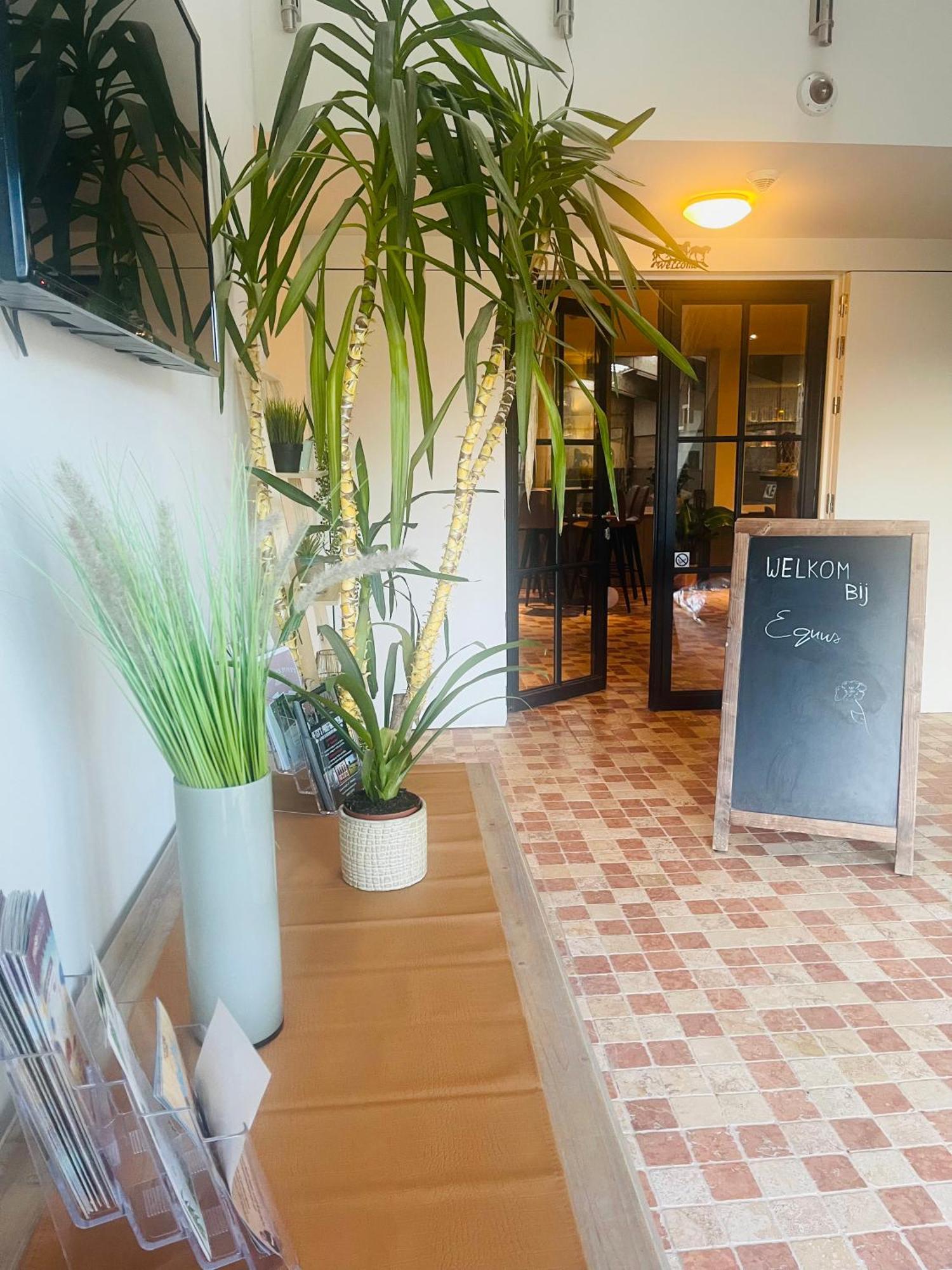 Equus B&B Bredene Exterior foto
